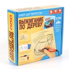 Выжигание и роспись по дереву «Чемпион», набор для творчества - Фото 3