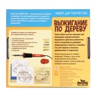 Выжигание и роспись по дереву «Чемпион», набор для творчества - Фото 5