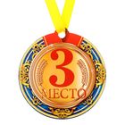 Медаль на магните "3 место" - Фото 2