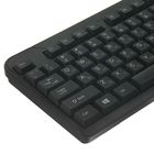 Комплект клавиатура и мышь Gembird KBS-7002, беспроводной, мембранный, 1600 dpi, черный - Фото 2
