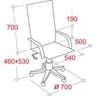 Кресло для руководителя EChair CS-630Е бежевое (кожа/пластик) - Фото 5