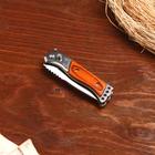 Нож складной «Пескарь», 15 см, клинок 65 мм/1.3 мм - Фото 2