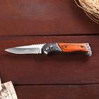 Нож складной «Пескарь», 15 см, клинок 65 мм/1.3 мм - Фото 4