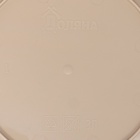 Горшок для цветов с поддоном Доляна «Арена», 2 л, пластиковый, цвет пудровый - Фото 9