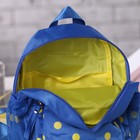 Рюкзак детский, отдел на молнии, 2 наружных кармана, 2 боковых сетки, цвет синий - Фото 3