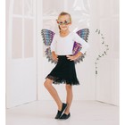 Карнавальный набор "Бабочка", 2 предмета: крылья, маска, 3-5 лет - Фото 1