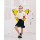 Карнавальный набор "Бабочка", 2 предмета: крылья, маска, 3-5 лет - Фото 1