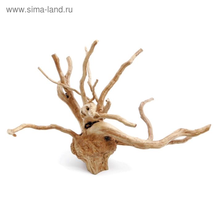 Коряга AquaEl DRIFTWOOD (XL) - Фото 1