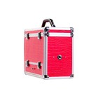 Секс-машина чемодан Diva Wiggler, 2 насадки, металл, цвет розовый, 17 см - Фото 2