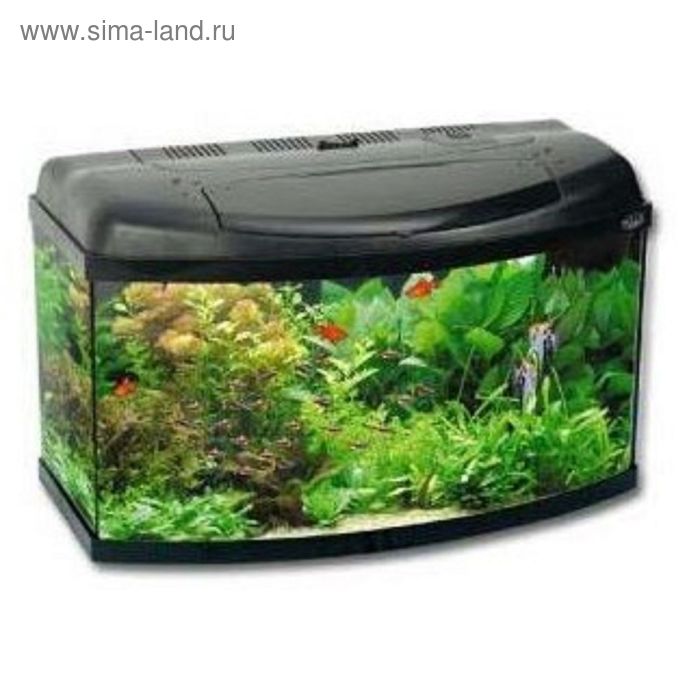 Аквариум Aqua4home 50 (AQUAEL) 40 литров,50х30х30, фигурный черный,c оборудованием - Фото 1