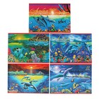 Альбом для рисования А4, 12 листов на скрепке Hatber "Дельфины", блок 100 г/м2, МИКС - фото 297807790