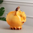 Копилка "Слон", оранжевый цвет, глазурь, 21 см, микс - Фото 3