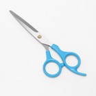 Ножницы парикмахерские с упором, лезвие — 6,5 см, цвет голубой - Фото 2