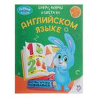 Обучающая книга «Цифры, формы и цвета на английском языке», 16 стр. - Фото 1