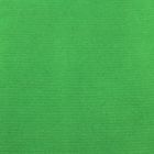 Бумага упаковочная крафт "Травяной", 0,7 х 10 м - Фото 2