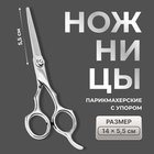 Ножницы парикмахерские с упором, лезвие — 5.5 см, серебристые - Фото 1
