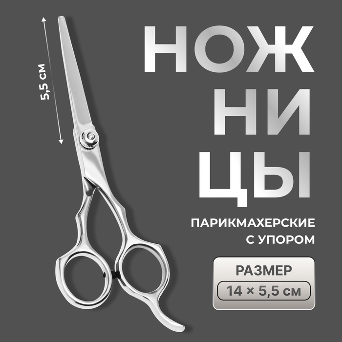 Ножницы парикмахерские с упором, лезвие — 5.5 см, серебристые - Фото 1