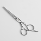 Ножницы парикмахерские с упором, лезвие — 6 см, цвет серебристый - Фото 2