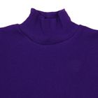 Водолазка для мальчика, рост 110-116 см, цвет тёмно-фиолетовый (арт. 1015_Д) - Фото 2