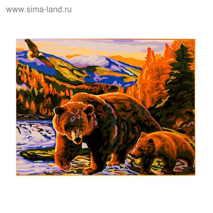 Роспись по холсту "Медведи" по номерам с красками по 3 мл+ кисти+инструк-я+крепеж 40*50 - Фото 1