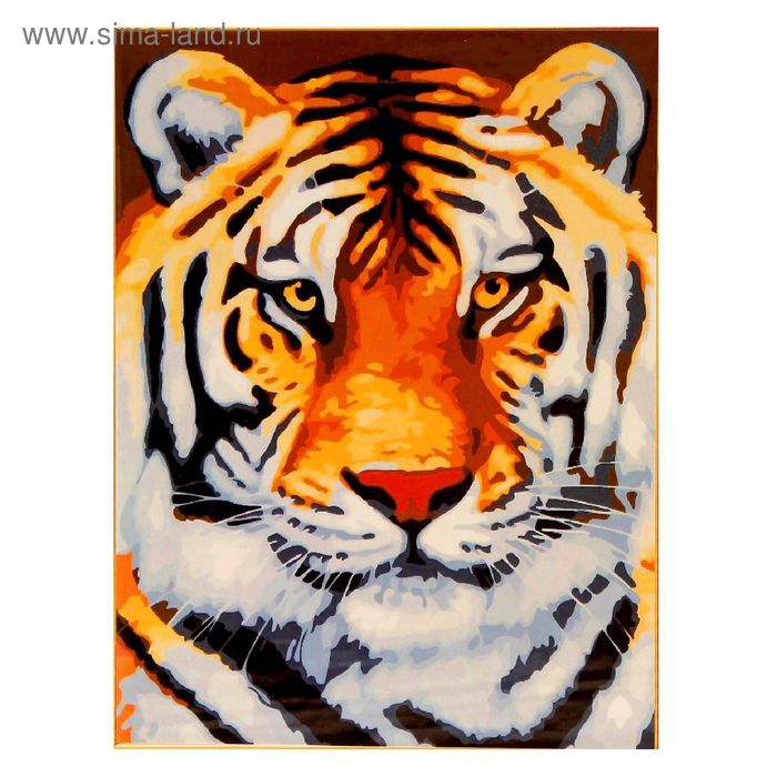 Роспись по холсту "Тигр" по номерам с красками по 3 мл+ кисти+инструк-я+крепеж 40*50 - Фото 1