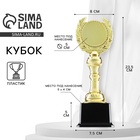 Кубок 068, наградная фигура, золото, подставка пластик, 23.5×8×7.5 см - Фото 1