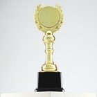 Кубок 068, наградная фигура, золото, подставка пластик, 21,5 x 8 x 7,5 см - Фото 2