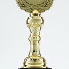 Кубок 068, наградная фигура, золото, подставка пластик, 21,5 x 8 x 7,5 см - Фото 6