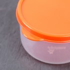 Набор контейнеров пищевых круглых Доляна, 3 шт: 150 мл, 300 мл, 500 мл, цвет оранжевый - Фото 3