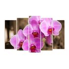 Картина модульная на подрамнике "Розовые орхидеи" 125*80 см - Фото 1