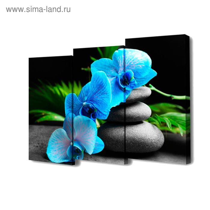 Картина модульная на подрамнике "Голубые орхидеи" 3шт.-50*100 см;   150*100 см - Фото 1