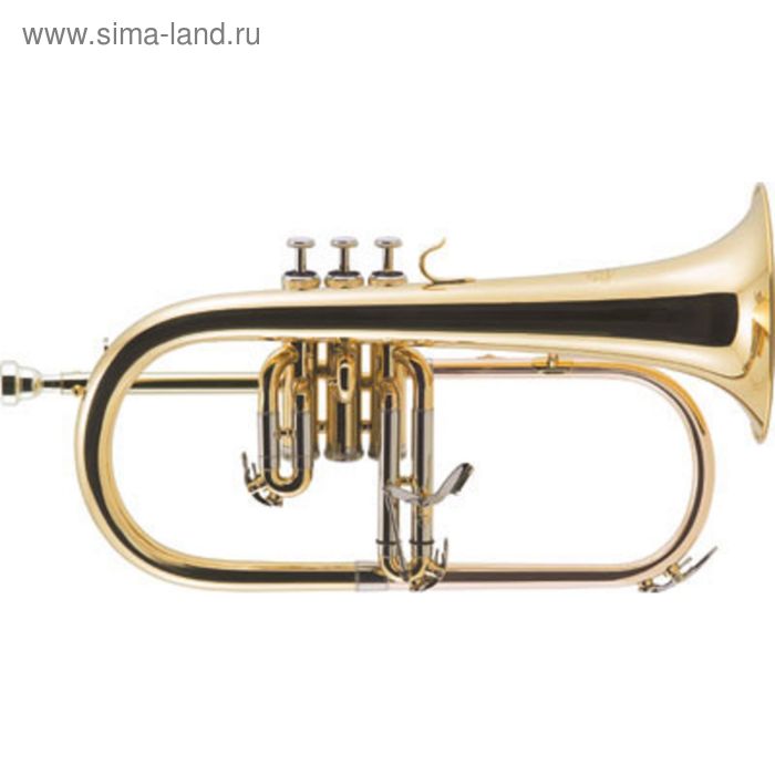 Флюгельгорн в кейсе - J. Michael FG-500 - Фото 1