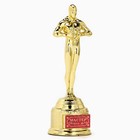 Кубок наградная фигура «Мастер своего дела», оскар, пластик, 18 см - Фото 3