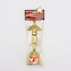 Кубок наградная фигура «Человек года», оскар, пластик, 18×6.3 см - Фото 5