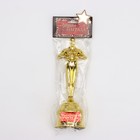 Кубок наградная фигура «Золотой учитель», оскар, золото, 18 см - Фото 5