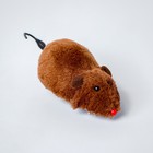 Игрушка заводная «Мышка», цвета МИКС - фото 8487352