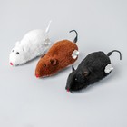 Игрушка заводная «Мышка», цвета МИКС - Фото 2