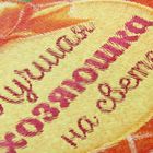 Разделочная доска «Лучшая хозяюшка», 20 см - Фото 2