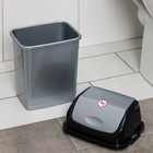 Контейнер для мусора «Камелия», 4 л, цвет серебристый перламутр/чёрный - Фото 3
