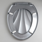 Сиденье для унитаза «Ракушка», 44.5×37 см, с крышкой, серебристый перламутр - Фото 3