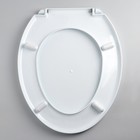 Сиденье для унитаза с крышкой «Декор. Пальма», 44.5×37 см, белое - Фото 3