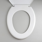 Сиденье для унитаза с крышкой «Декор. Яблоко», 44.5×37 см, белое - Фото 4