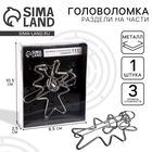 Головоломка металлическая «Раздели на части» №11 - Фото 1