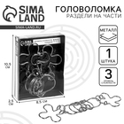 Головоломка металлическая «Раздели на части» №18 - Фото 1
