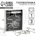 Головоломка металлическая «Раздели на части» №23 - Фото 1