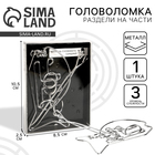 Головоломка металлическая «Раздели на части» №25 - Фото 1