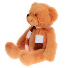 Мягкая игрушка «Медведь Топа», цвет бежевый - Фото 2
