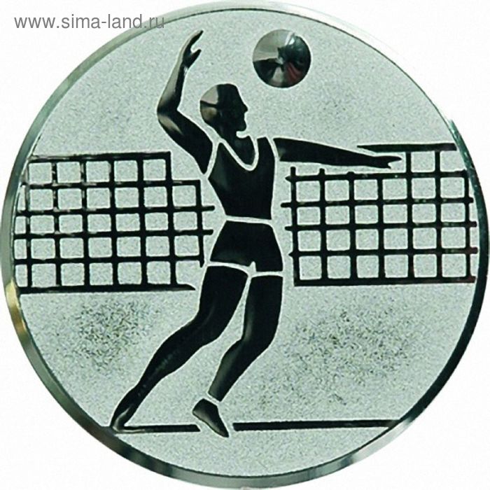 Жетон Волейбол мужской мм, d=25 мм, A6/S - Фото 1
