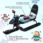 Снегокат Nika Snowpatrol «Гонки», СНД2/Г2, со спинкой и ремнём безопасности, цвет чёрный - Фото 2