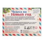 Квест-игра по поиску подарка «Чудеса на Новый год», новогодняя, 11 подсказок, письмо, 5+ - Фото 9